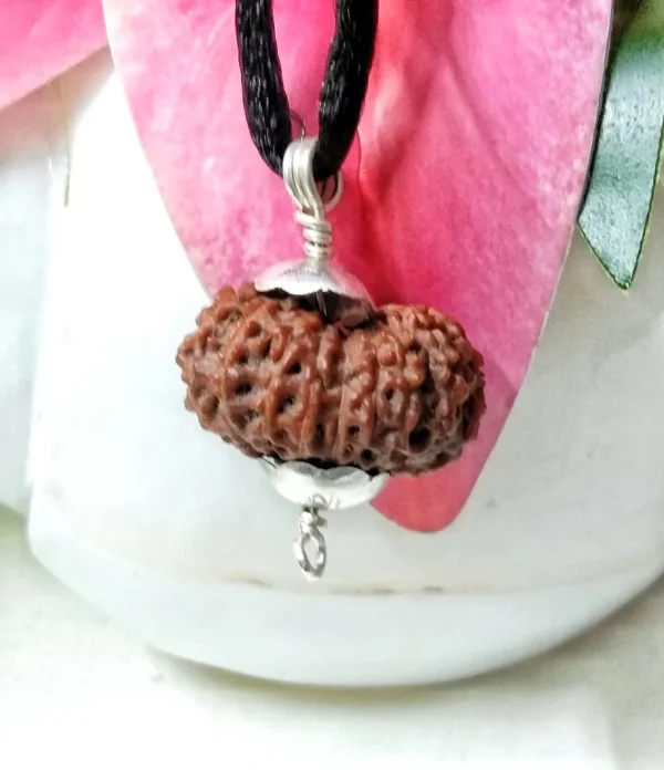 17 Mukhi Rudraksha