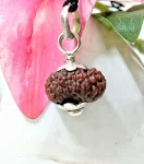 17 Mukhi Rudraksha