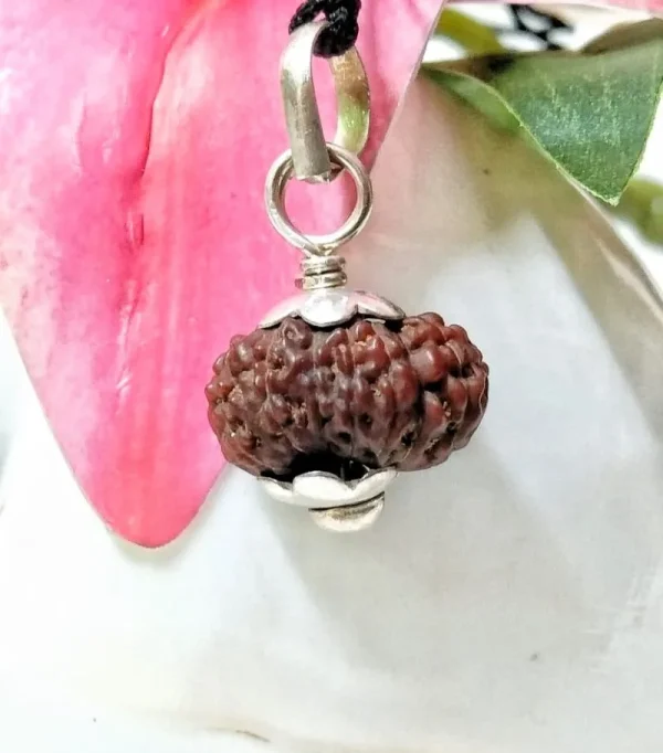 17 Mukhi Rudraksha