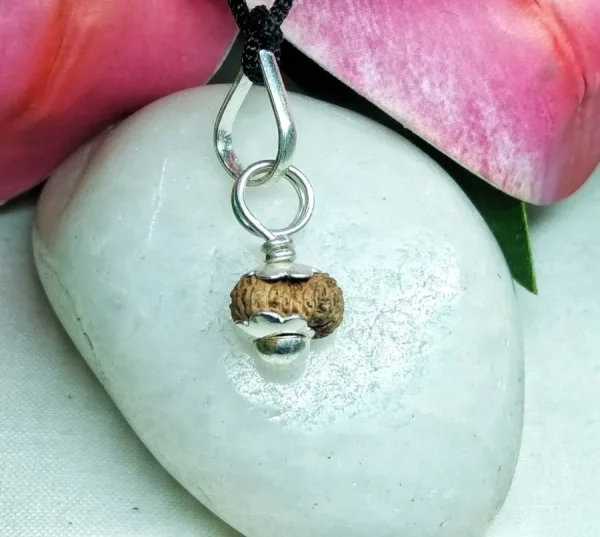 17 Mukhi Rudraksha