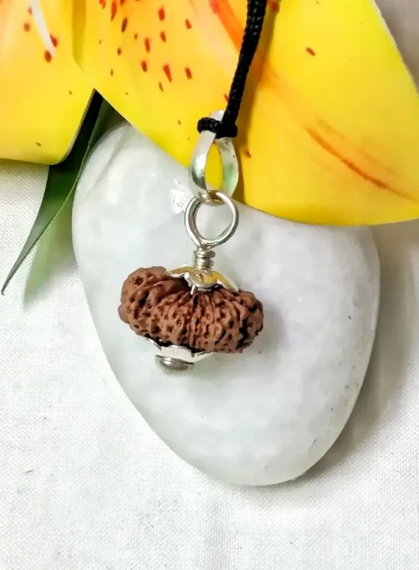 17 Mukhi Rudraksha