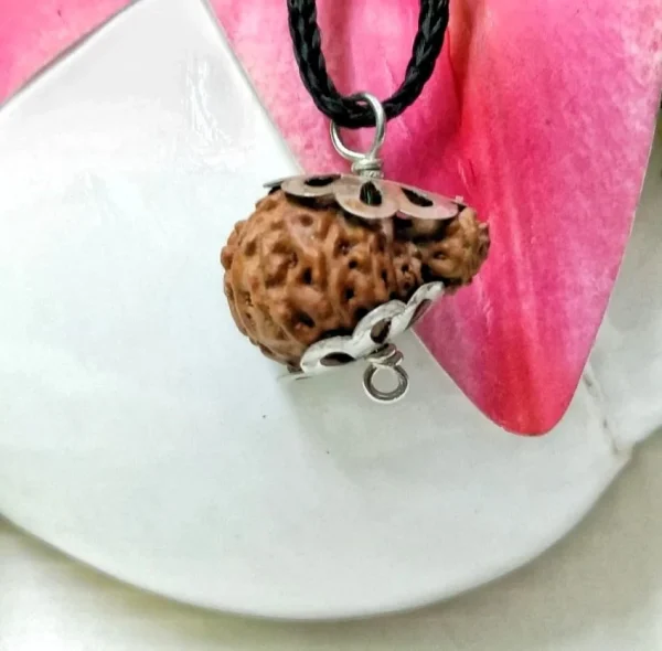 17 Mukhi Rudraksha