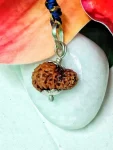 17 Mukhi Rudraksha