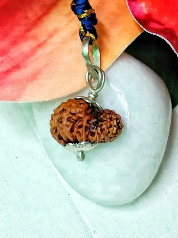 17 Mukhi Rudraksha