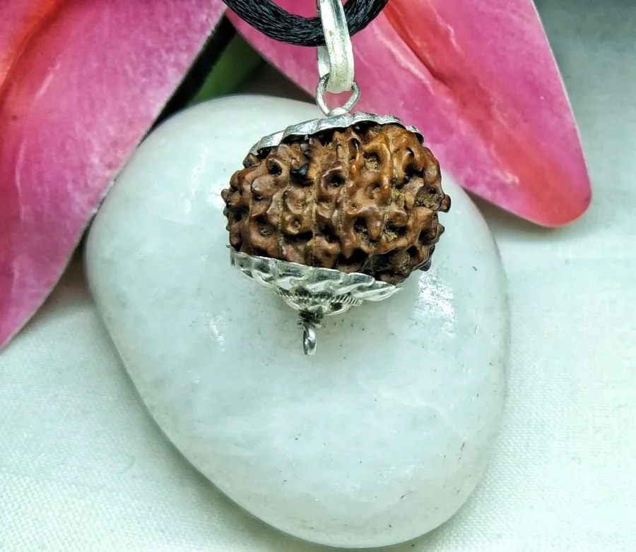 17 Mukhi Rudraksha