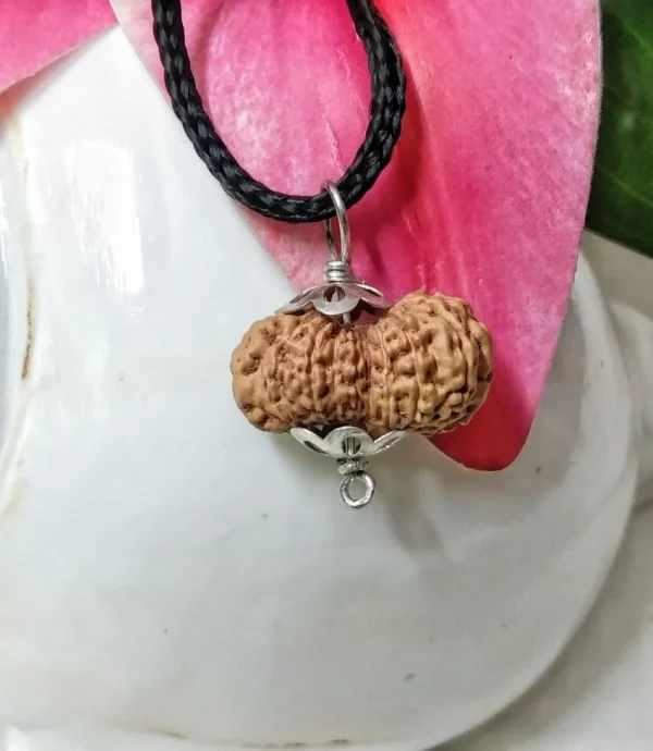 17 Mukhi Rudraksha