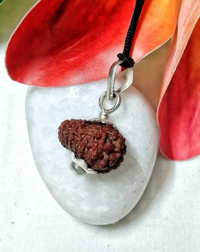 17 Mukhi Rudraksha