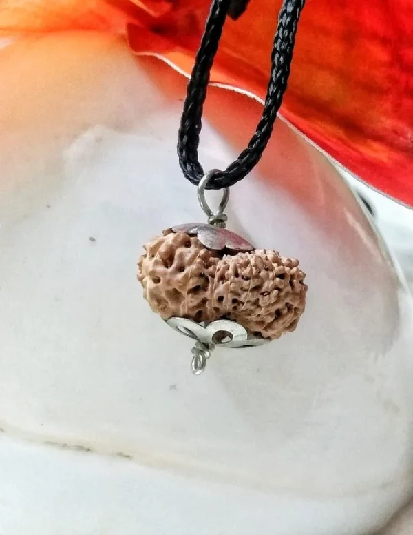 17 Mukhi Rudraksha