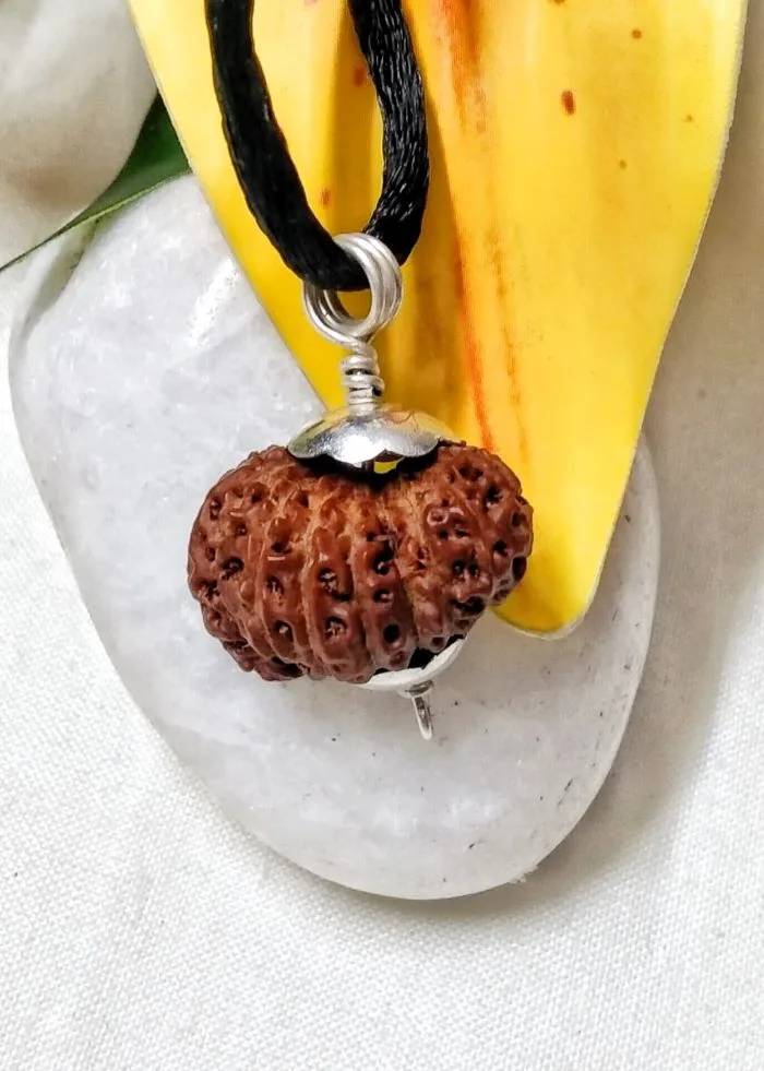17 Mukhi Rudraksha