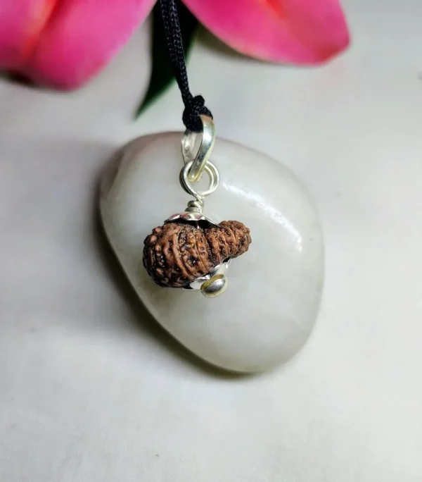 17 Mukhi Rudraksha