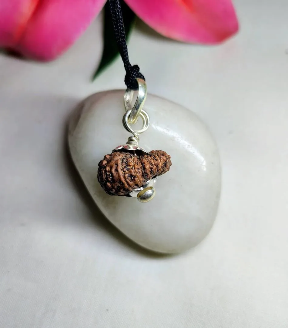 17 Mukhi Rudraksha