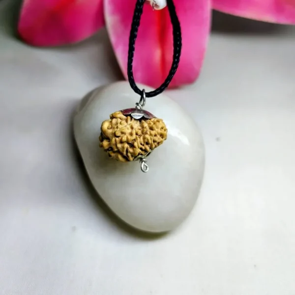 17 Mukhi Rudraksha