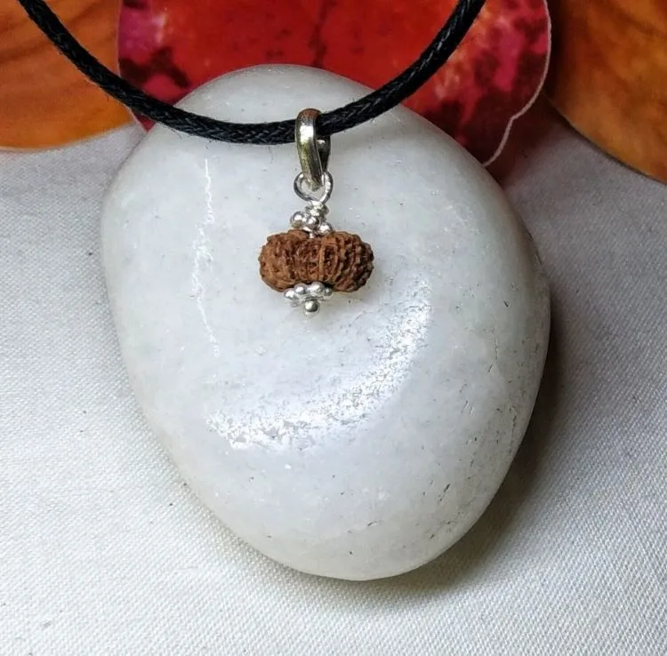 17 Mukhi Rudraksha