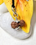 17 Mukhi Rudraksha