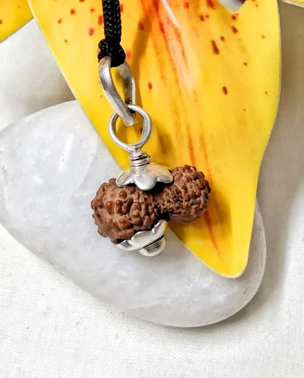 17 Mukhi Rudraksha