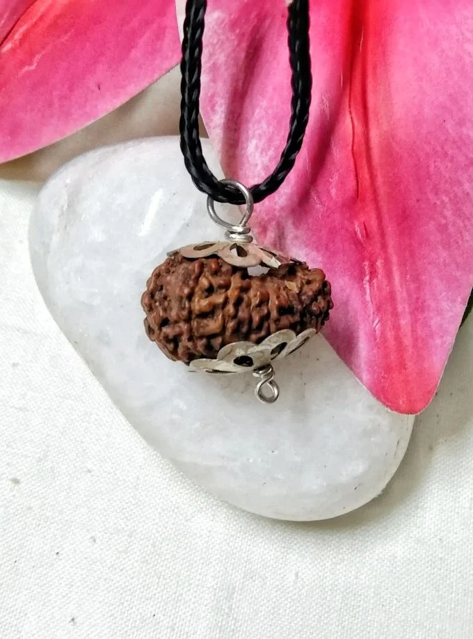 17 Mukhi Rudraksha