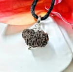 17 Mukhi Rudraksha