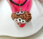 17 Mukhi Rudraksha