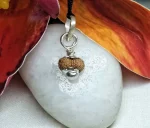 17 Mukhi Rudraksha