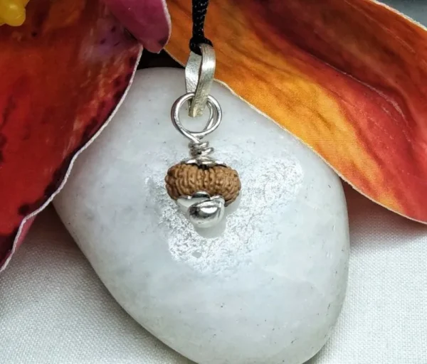17 Mukhi Rudraksha