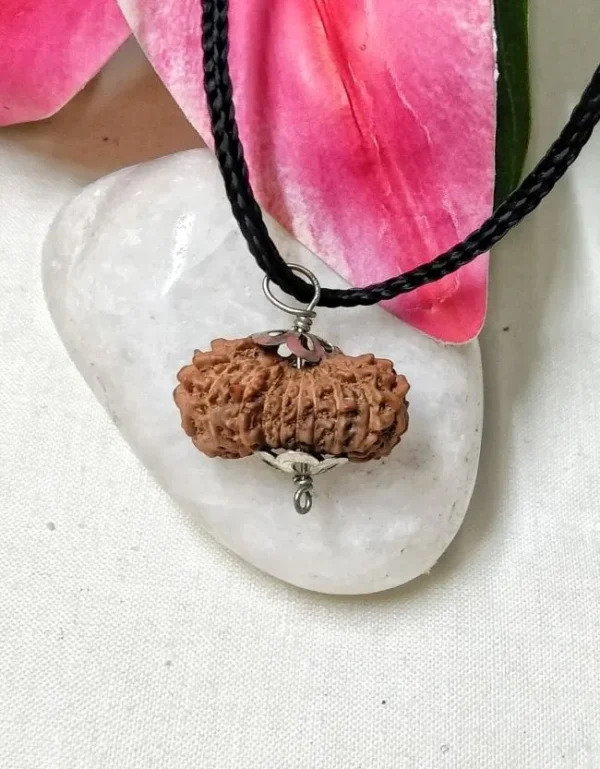 17 Mukhi Rudraksha