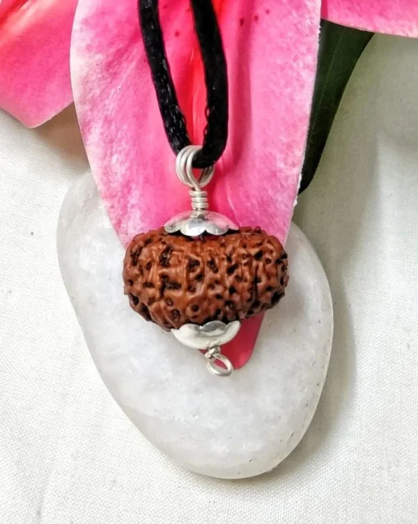 17 Mukhi Rudraksha