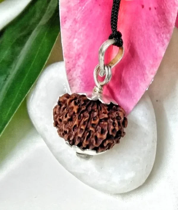 17 Mukhi Rudraksha