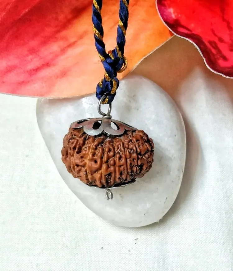 17 Mukhi Rudraksha