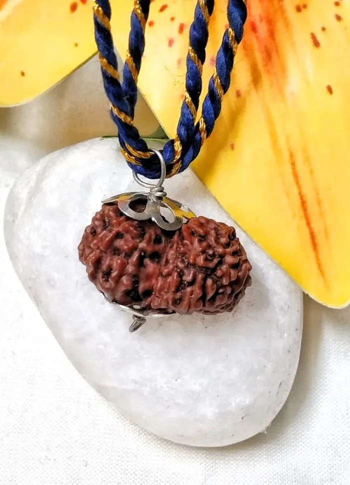 17 Mukhi Rudraksha