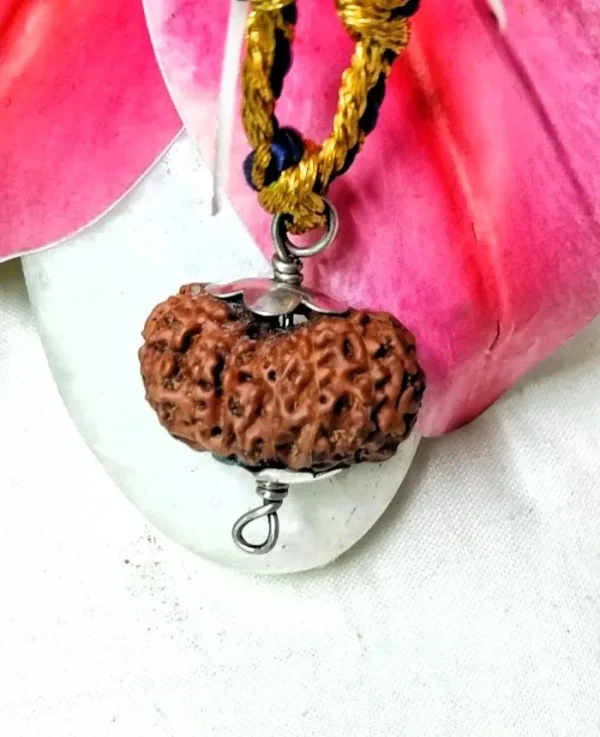 17 Mukhi Rudraksha