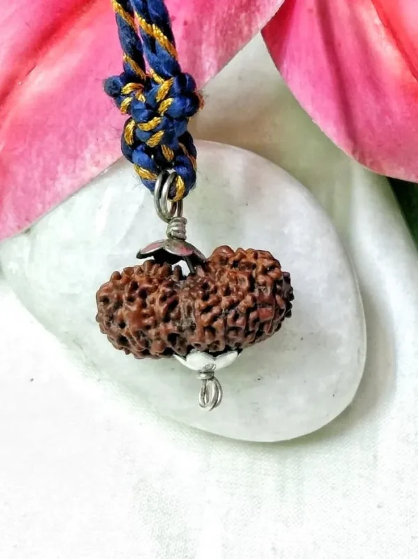 17 Mukhi Rudraksha