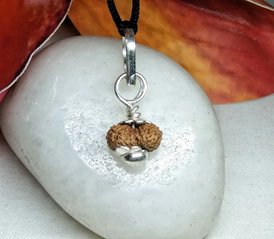 17 Mukhi Rudraksha