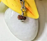 17 Mukhi Rudraksha