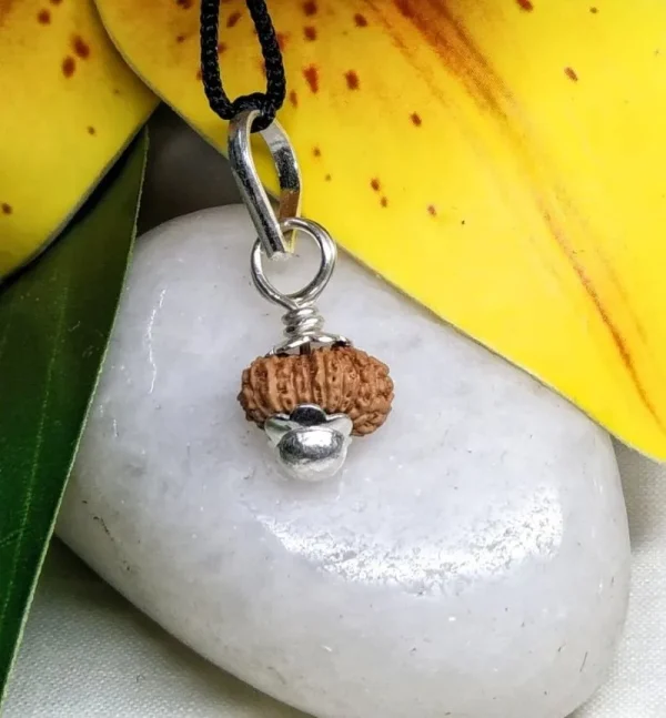 17 Mukhi Rudraksha