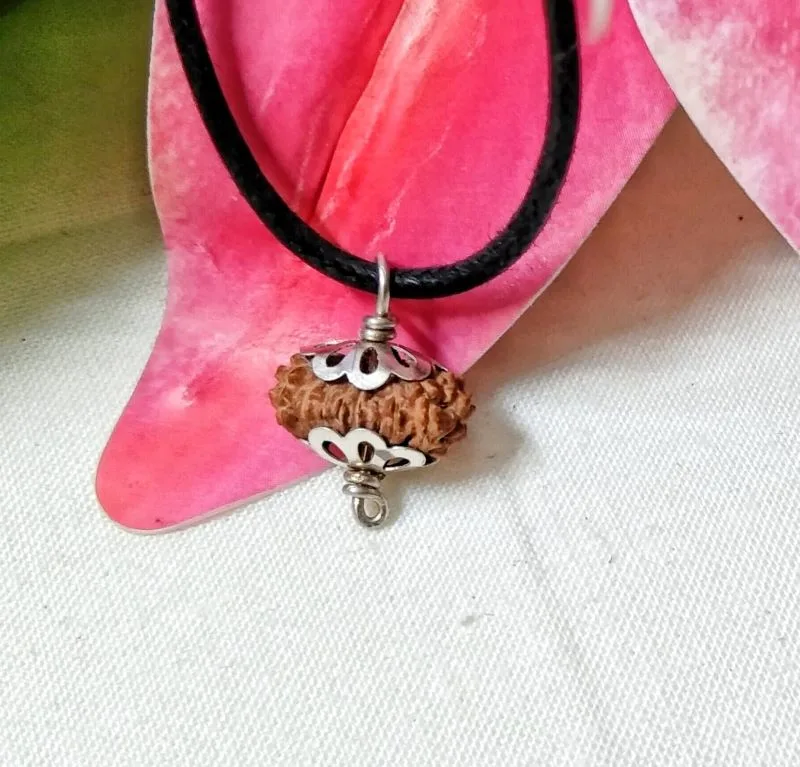 17 Mukhi Rudraksha