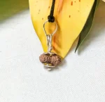 17 Mukhi Rudraksha