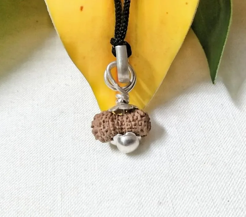 17 Mukhi Rudraksha