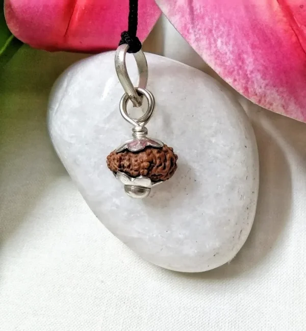 17 Mukhi Rudraksha