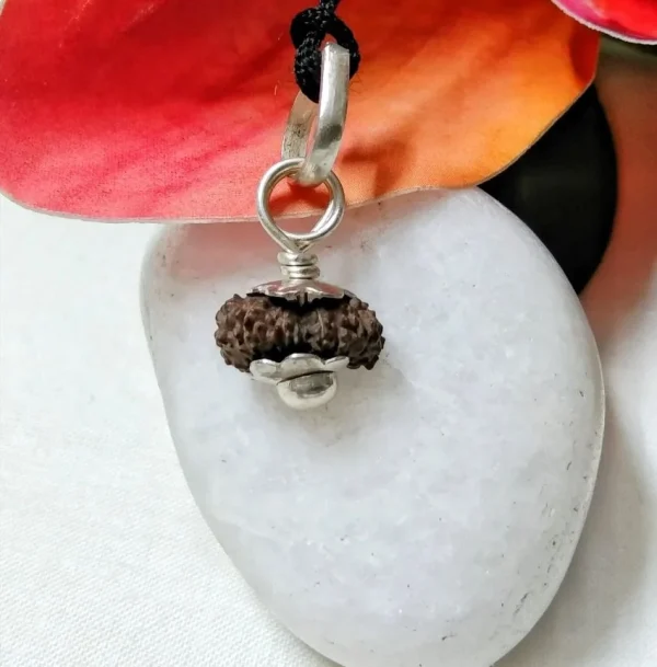 17 Mukhi Rudraksha