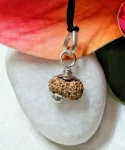 17 Mukhi Rudraksha