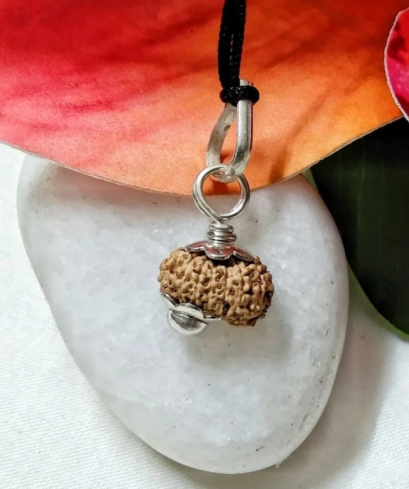 17 Mukhi Rudraksha