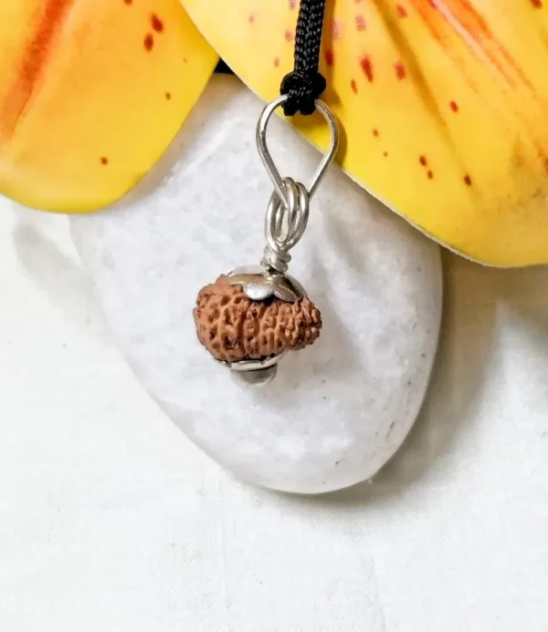 17 Mukhi Rudraksha