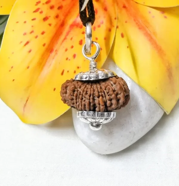 17 Mukhi Rudraksha