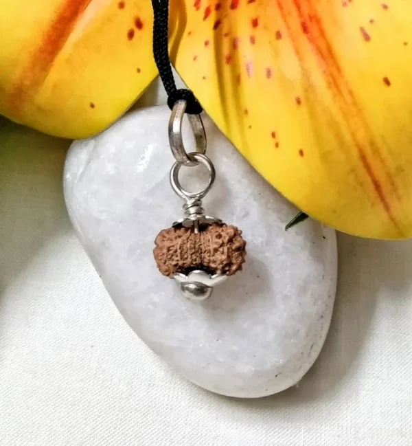 17 Mukhi Rudraksha