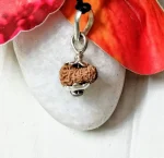 17 Mukhi Rudraksha