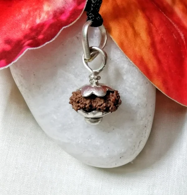 17 Mukhi Rudraksha