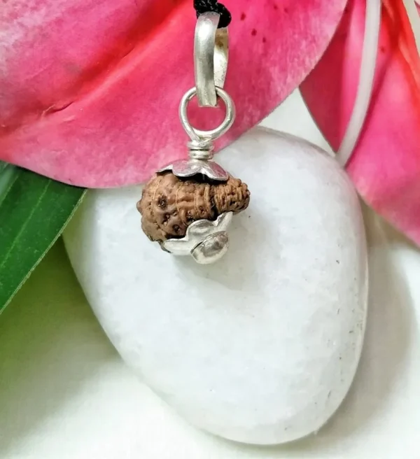 17 Mukhi Rudraksha