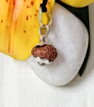 17 Mukhi Rudraksha
