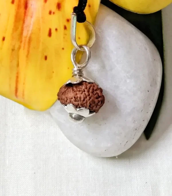 17 Mukhi Rudraksha