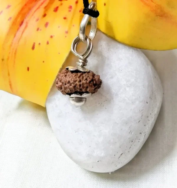 17 Mukhi Rudraksha